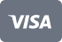 Logo Visa